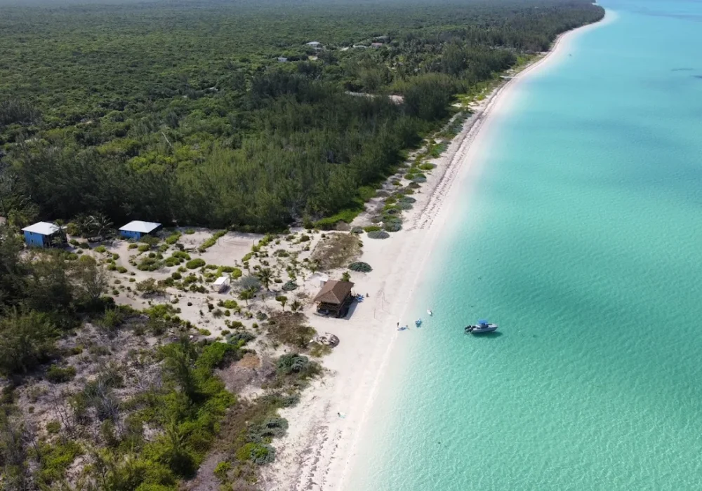 RemoteMediaFile_6554353_0_2022_06_24_16_09_00